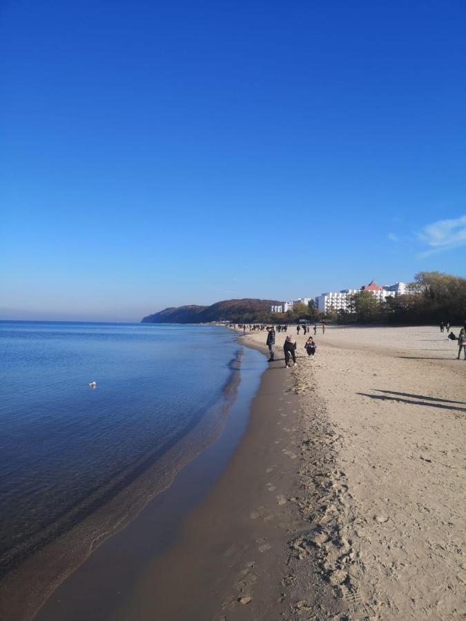 Meduza W Bel Mare *